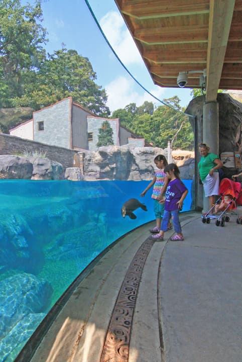 Seal and Sea Lion Exhibit and Life Support Facility  - National Zoological Park