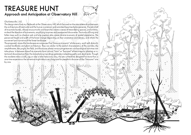 Treasure Hunt 650