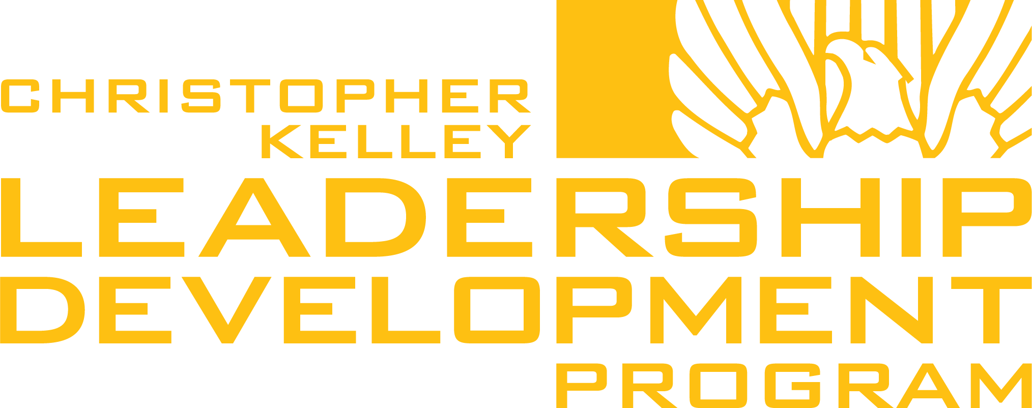 CKLDP logo